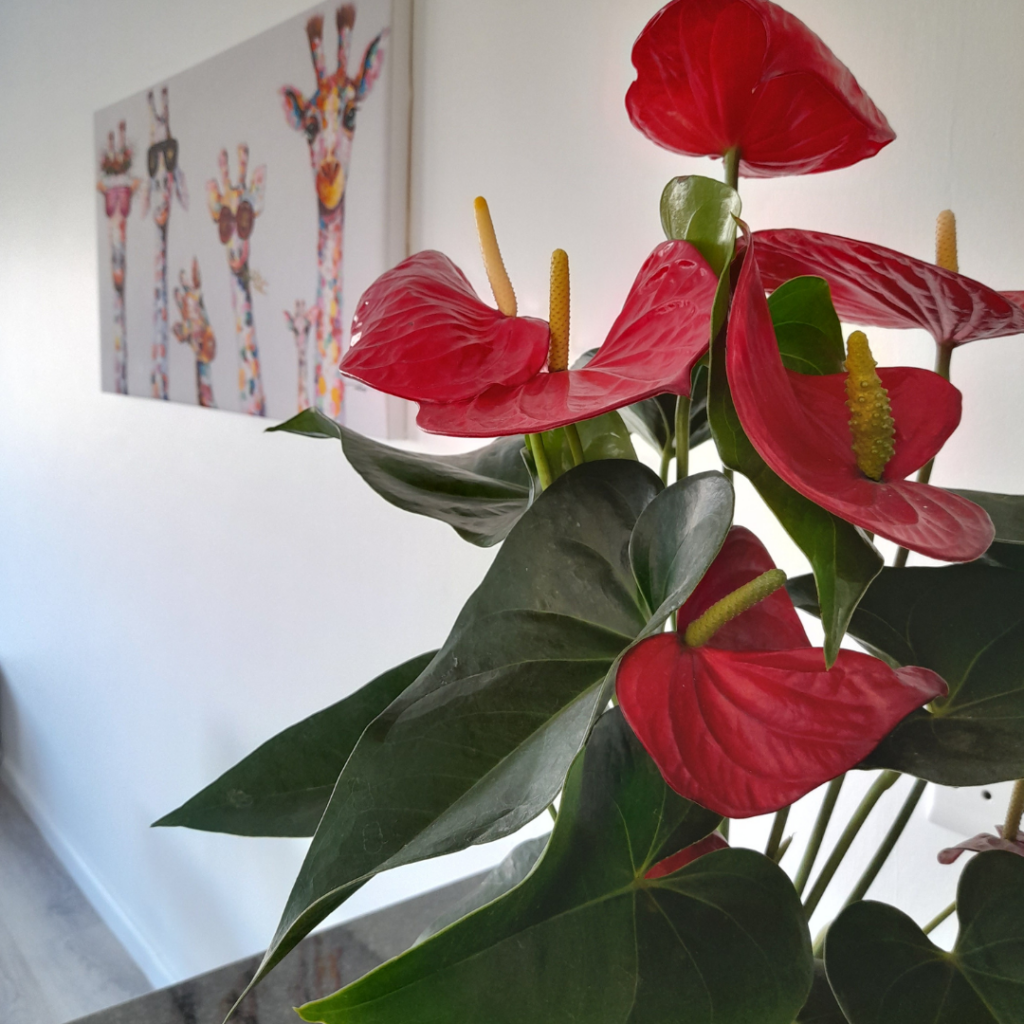 Windward Plant